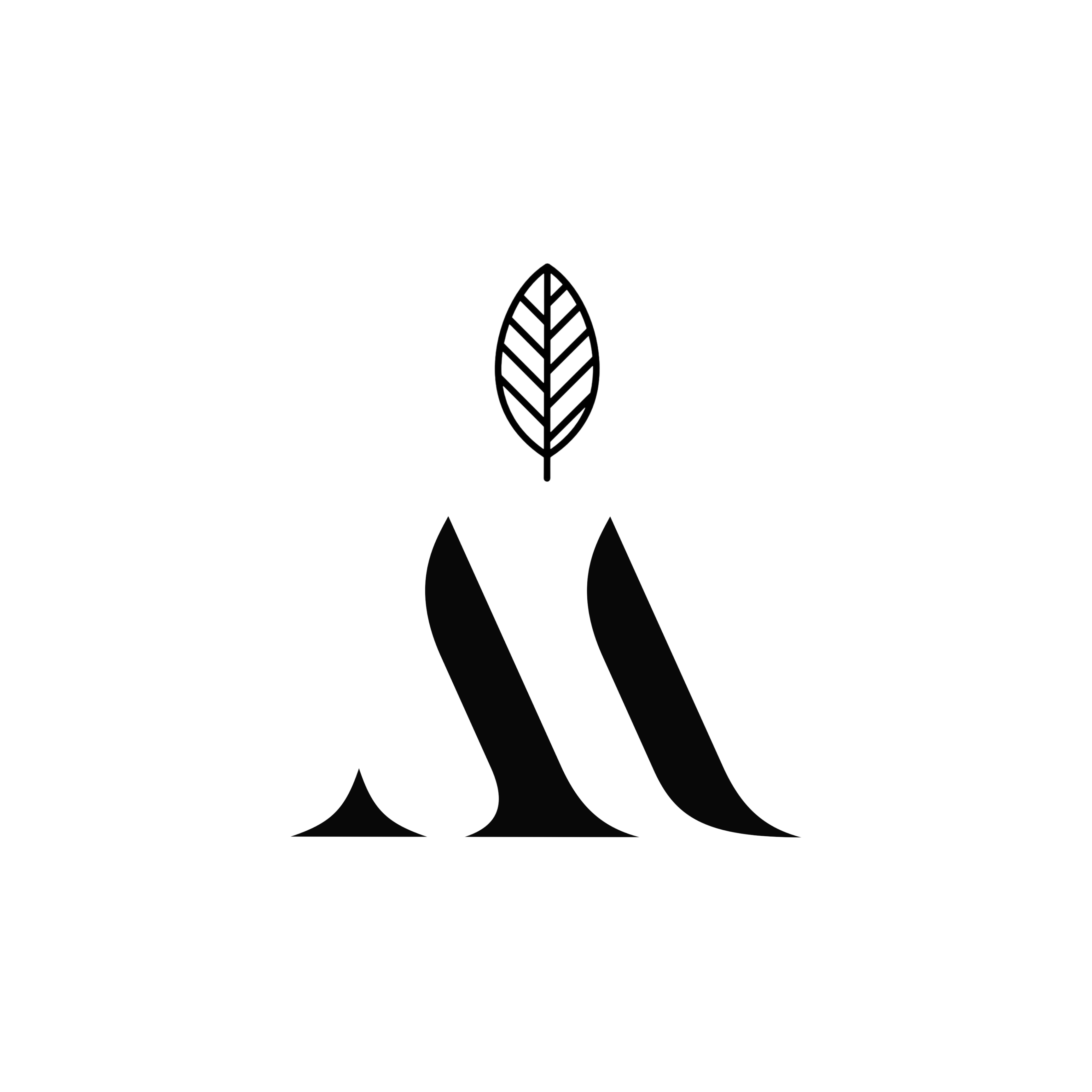 Nutrición Hormonal y Deportiva Logo